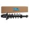 Strut & Spring Assembly
