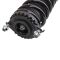 Strut & Spring Assembly