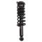 Strut & Spring Assembly