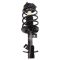Strut & Spring Assembly