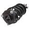 Strut & Spring Assembly