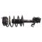 Strut & Spring Assembly