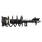 Strut & Spring Assembly