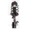 Strut & Spring Assembly