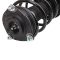 Strut & Spring Assembly