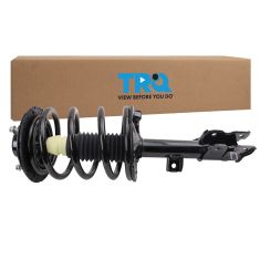 Strut & Spring Assembly