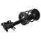 03-07 Nissan Murano Front Strut and Spring Assembly RF