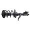 Strut & Spring Assembly