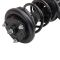 Strut & Spring Assembly