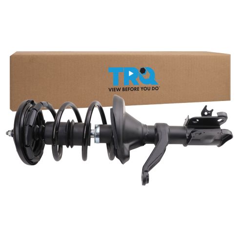 Strut & Spring Assembly