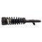 Strut & Spring Assembly