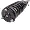 Strut & Spring Assembly