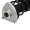 Strut & Spring Assembly