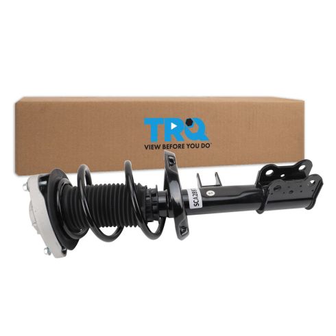 Strut & Spring Assembly