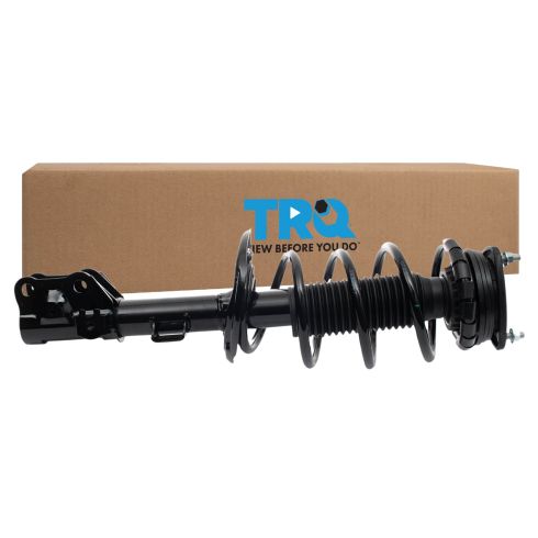 Strut & Spring Assembly