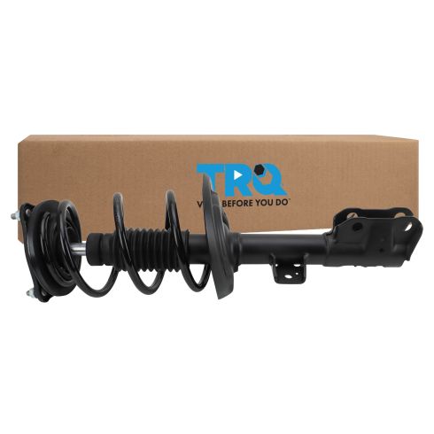 Strut & Spring Assembly