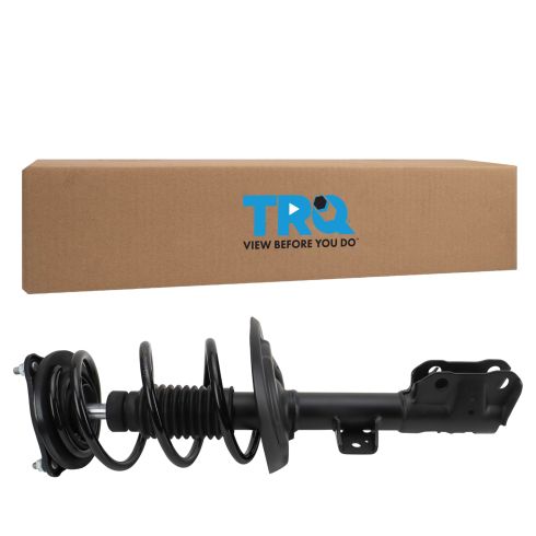 Strut & Spring Assembly