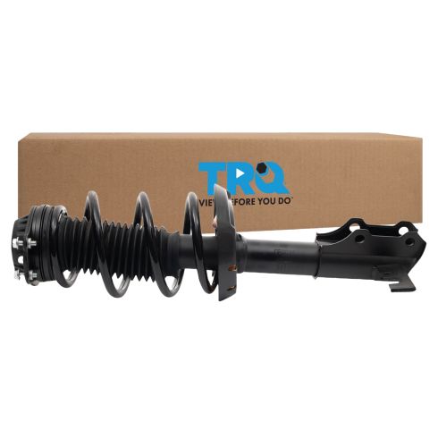 Strut & Spring Assembly