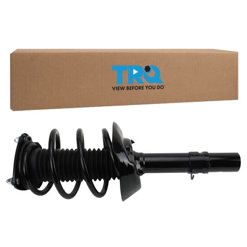 Strut & Spring Assembly