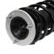 Strut & Spring Assembly