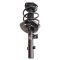 Strut & Spring Assembly