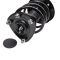 Strut & Spring Assembly