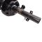 Strut & Spring Assembly