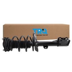 Strut & Spring Assembly