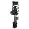 Strut & Spring Assembly