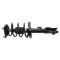 Strut & Spring Assembly