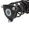 Strut & Spring Assembly