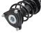 Strut & Spring Assembly