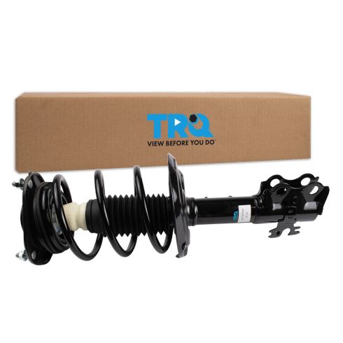 Strut & Spring Assembly