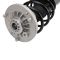 Strut & Spring Assembly