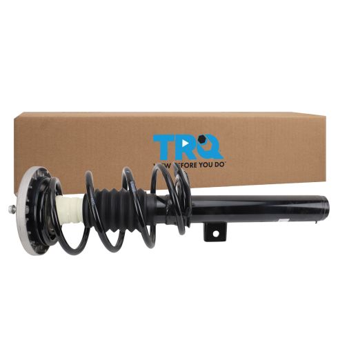 Strut & Spring Assembly