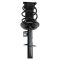Front Strut Spring Assembly RF