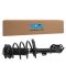 Front Strut Spring Assembly RF