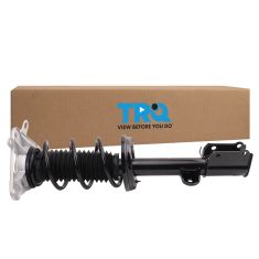 Strut & Spring Assembly