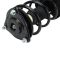 Front Strut Spring Assembly LF