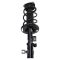 Front Strut Spring Assembly LF