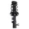 Front Strut Spring Assembly RF
