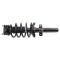 Strut & Spring Assembly