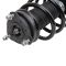 Strut & Spring Assembly