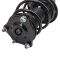 Strut & Spring Assembly