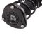 Strut & Spring Assembly