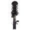 Strut & Spring Assembly