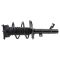 Strut & Spring Assembly