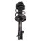 Strut & Spring Assembly