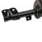 Strut & Spring Assembly