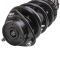 Strut & Spring Assembly